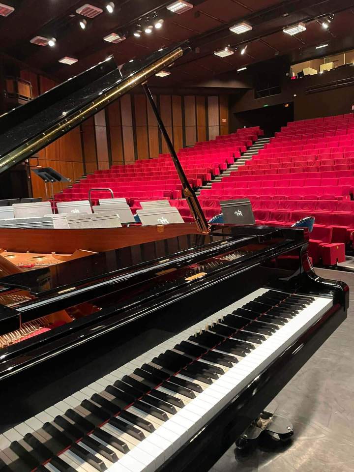 Révision piano Tinténiac