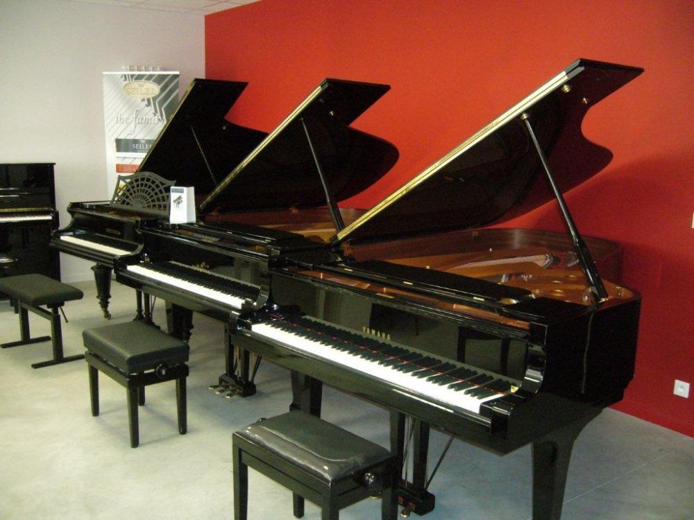 Nous proposons régulièrement des pianos à queue d'occasion de marque KAWAI, YAMAHA, BECHSTEIN, HOFFMANN, SCHIMMEL...